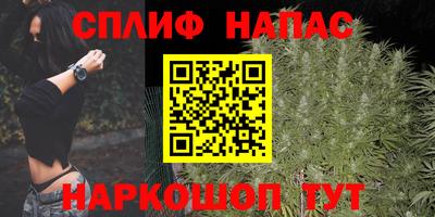 прущие грибы Бузулук