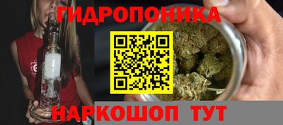 прущие грибы Бузулук